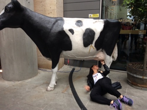 An image from a Cluego treasur ehunt of someone with a plastic cow